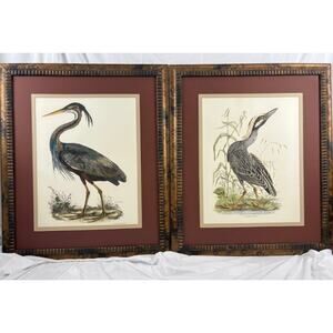 Set 2 Vintage Framed Heron Bird Prints Audubon Style Art Grandmillennial Decor
